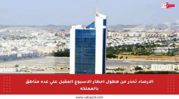الأرصاد تحذر من هطول أمطار الأسبوع المقبل على عدة مناطق بالمملكة